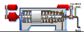 1 (1).png