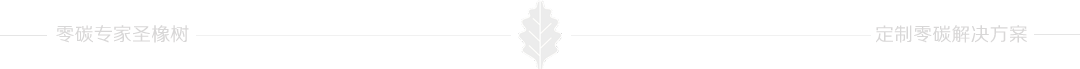 圣橡树分割线.png